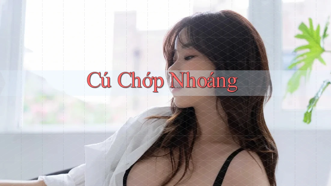 Cú Chớp Nhoáng Cú Chớp Nhoáng