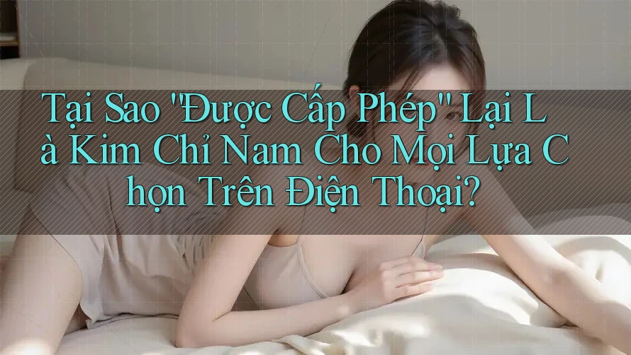 Tại Sao “Được Cấp Phép” Lại Là Kim Chỉ Nam Cho Mọi Lựa Chọn Trên Điện Thoại?
