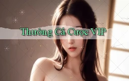 Thưởng Cá cược VIP