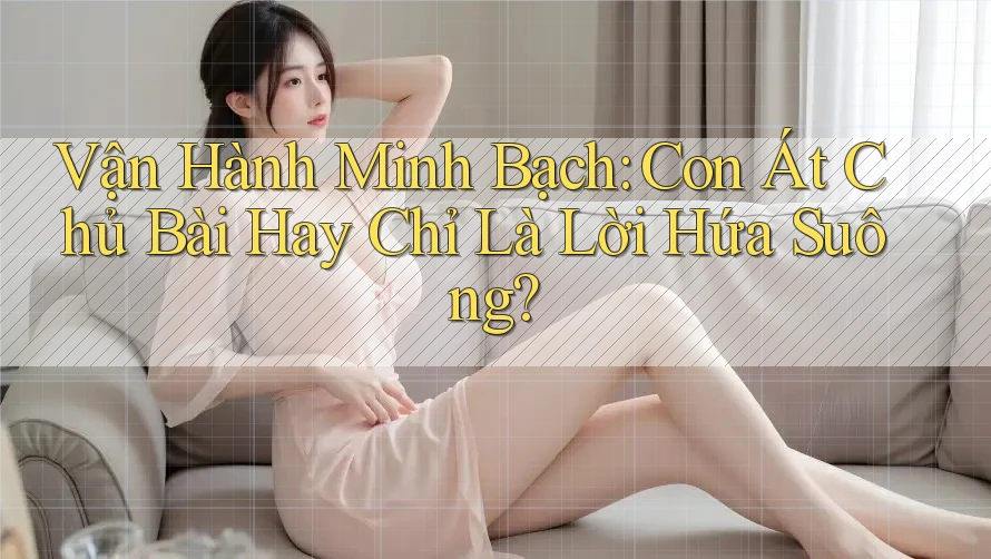 Vận Hành Minh Bạch: Con Át Chủ Bài Hay Chỉ Là Lời Hứa Suông? Vận Hành Minh Bạch: Con Át Chủ Bài Hay Chỉ Là Lời Hứa Suông?